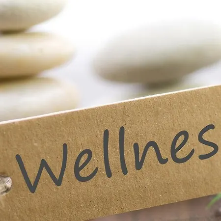 Toparti Wellness Apartman Delux Apartment
