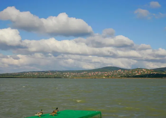 Velence Spa Apartman *